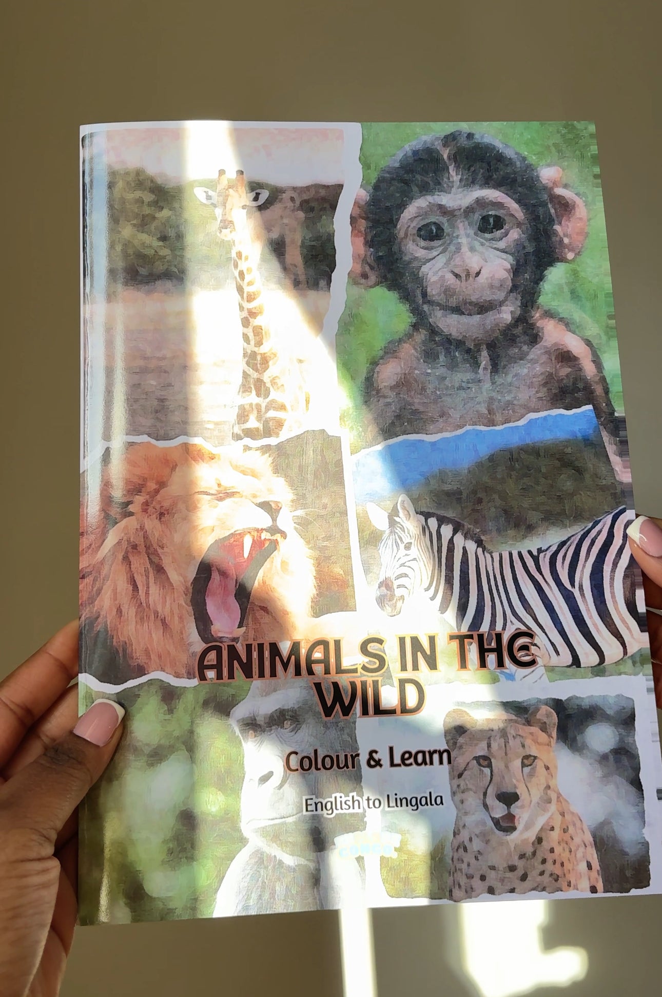 Animals in the wild Colouring Book